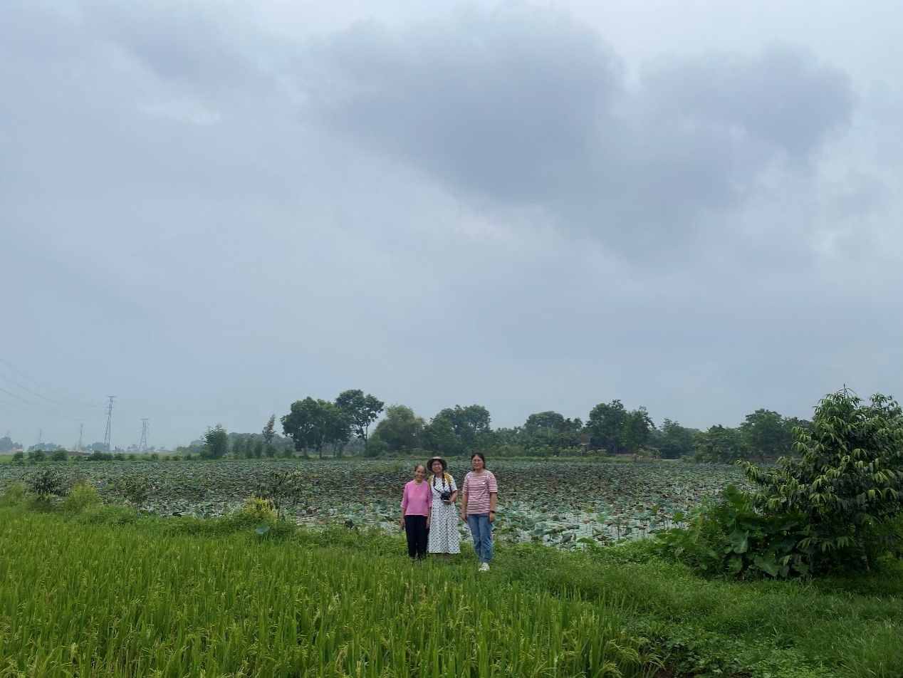 betway必威西汉姆联